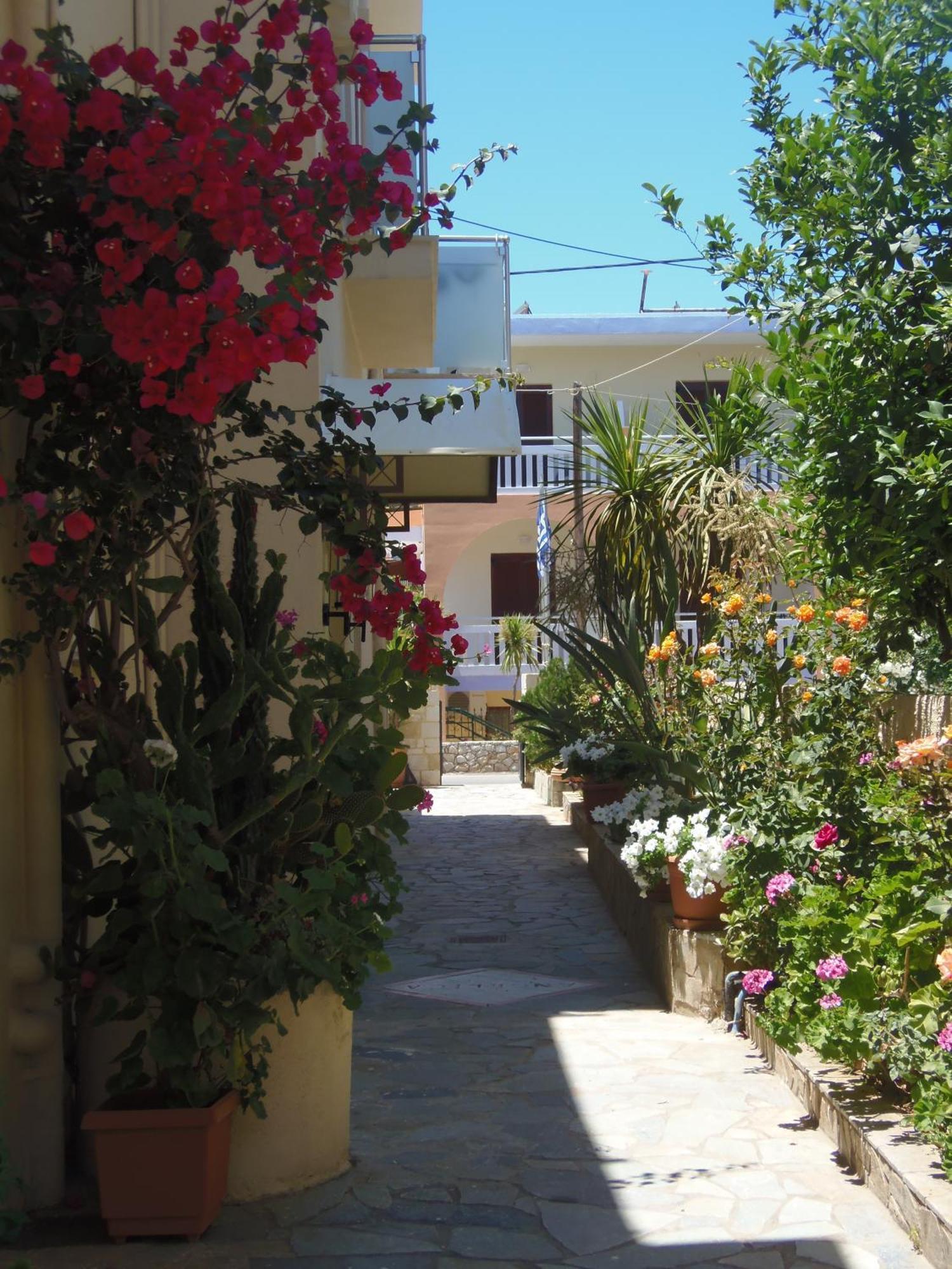 Angelica Studios And Apartments Agia Marina 외부 사진
