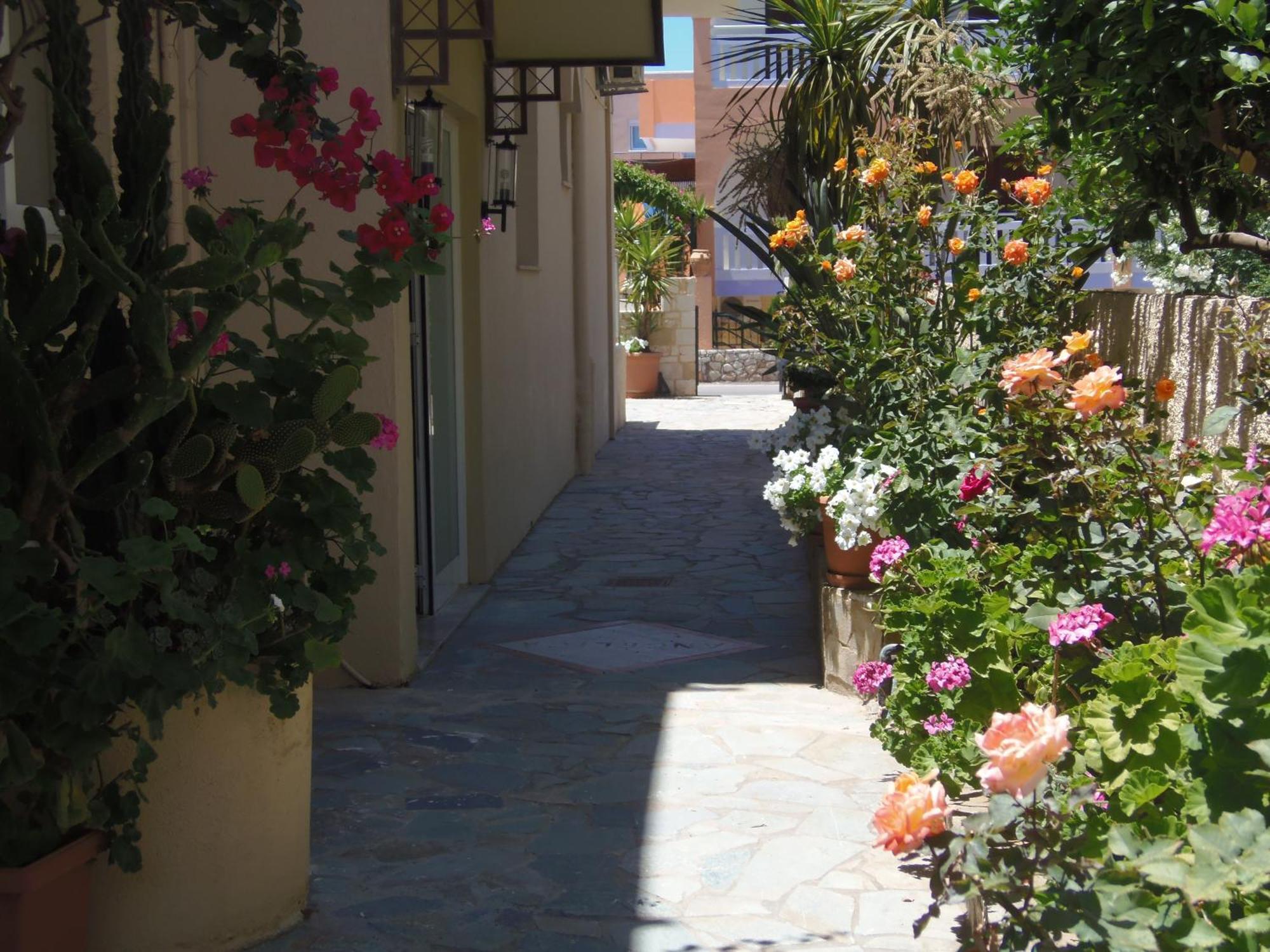 Angelica Studios And Apartments Agia Marina 외부 사진